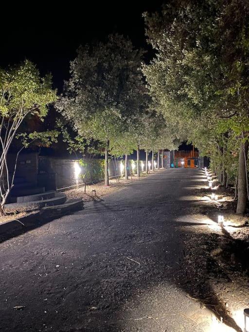 Villa Caterina, Alle Pendici Del Vulcano Etna Виагранде Екстериор снимка