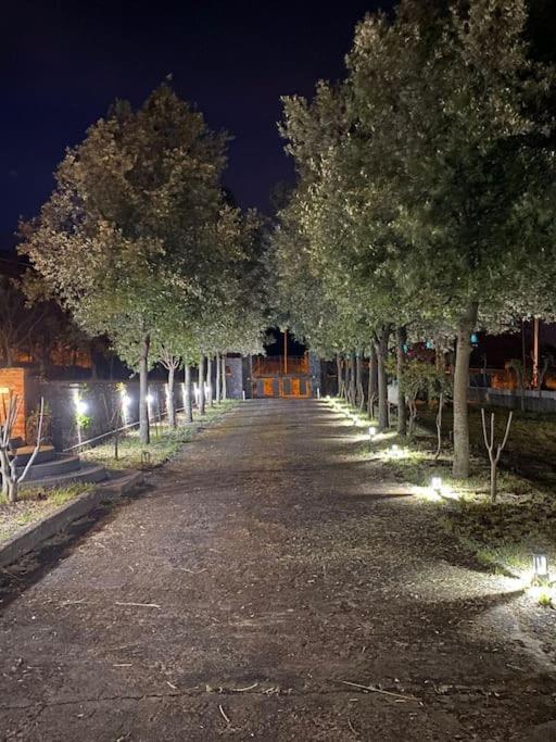 Villa Caterina, Alle Pendici Del Vulcano Etna Виагранде Екстериор снимка