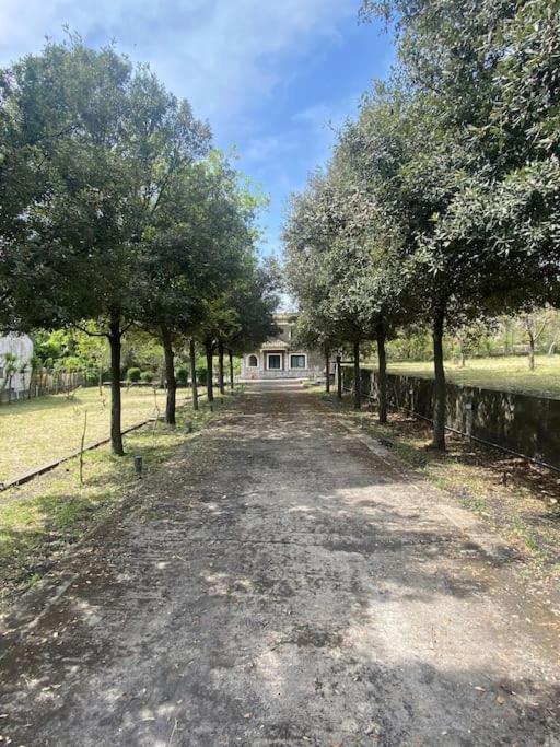 Villa Caterina, Alle Pendici Del Vulcano Etna Виагранде Екстериор снимка